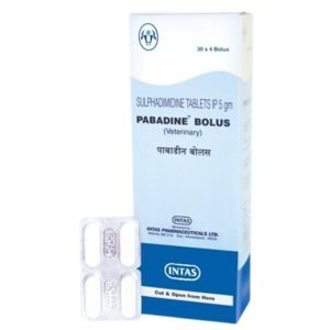 Pabadine 2 removebg preview 1