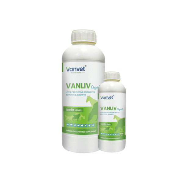 Vanliv Liquid – A Liver Protective,Promotes Appetite & Growth