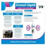 Livosol Liquid