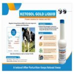 KETOSOL GOLD