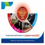 AMOX - S INJECTION - Image 3