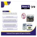 AMOX - S