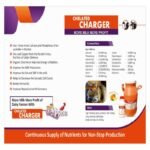 CHELATED CHARGER