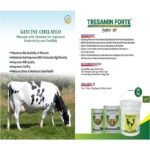 TRESAMIN FORTE™ POWDER - Image 2