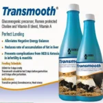 Transmooth