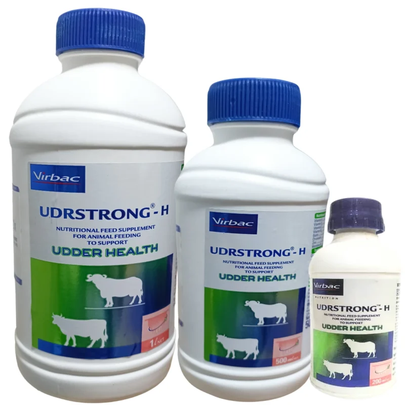UDRSTRONG