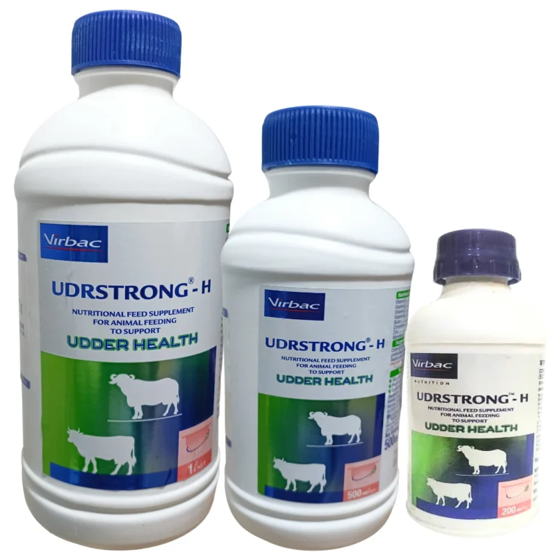 UDRSTRONG