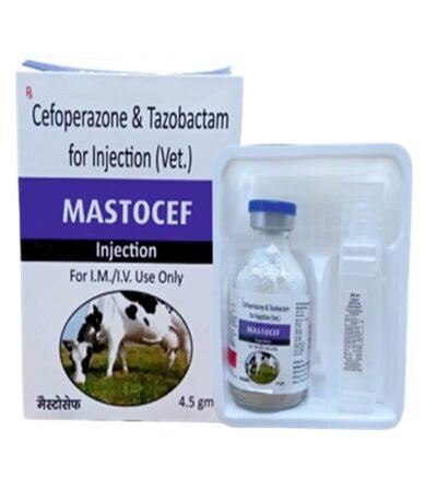 MASTOCEF