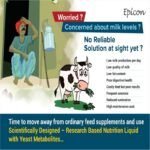 Epigest Liquid - Image 11