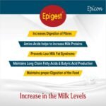 Epigest Liquid - Image 3