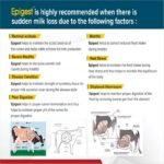 Epigest Liquid - Image 7