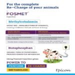 Fosmet Injection - Image 2