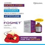 Fosmet Injection - Image 4