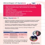 Gynatone + Vet - Image 2