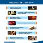 Lasicon Bolus - Image 4