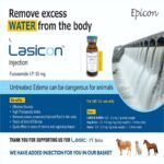 Lasicon Bolus - Image 8