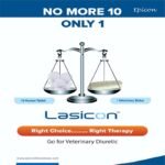 Lasicon Bolus - Image 7