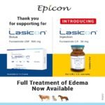 Lasicon Bolus - Image 6