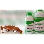 LIVOTAS LIQUID - Image 6