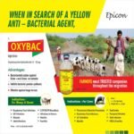 Oxybac Injection - Image 3