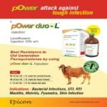 Power Duo - L Injection - Image 4