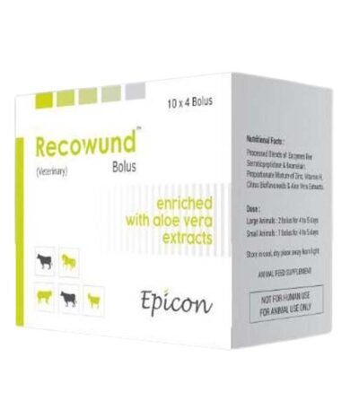 Recowund Bolus