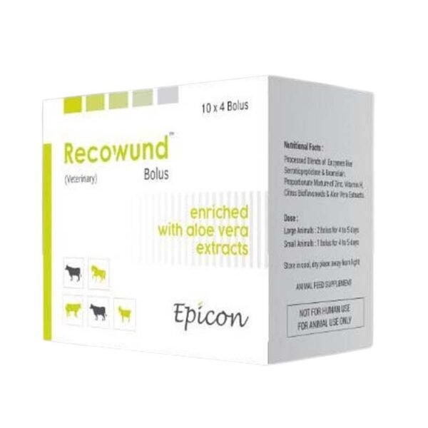 Recowund Bolus