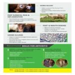 Recowund Bolus - Image 3