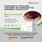 Recowund Bolus - Image 4