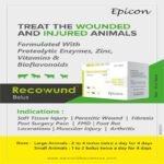 Recowund Bolus - Image 9