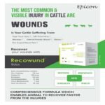 Recowund Bolus - Image 10