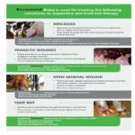 Recowund Bolus - Image 6