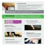 Recowund Bolus - Image 5