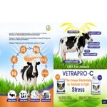 VETRAPRO C POWDER - Image 3