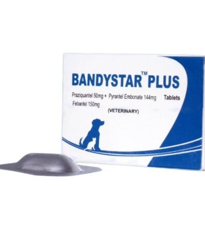BANDYSTAR PLUS