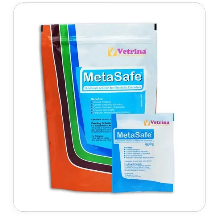 MetaSafe