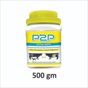 P2P POWDER