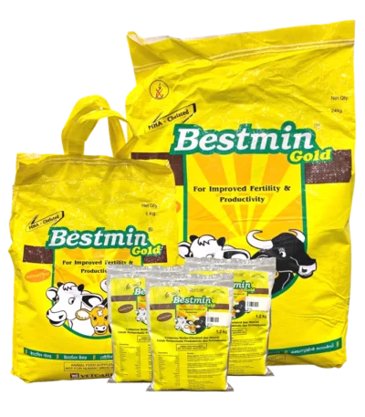 BESTMIN GOLD