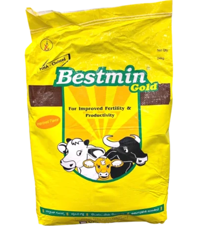 BESTMIN GOLD
