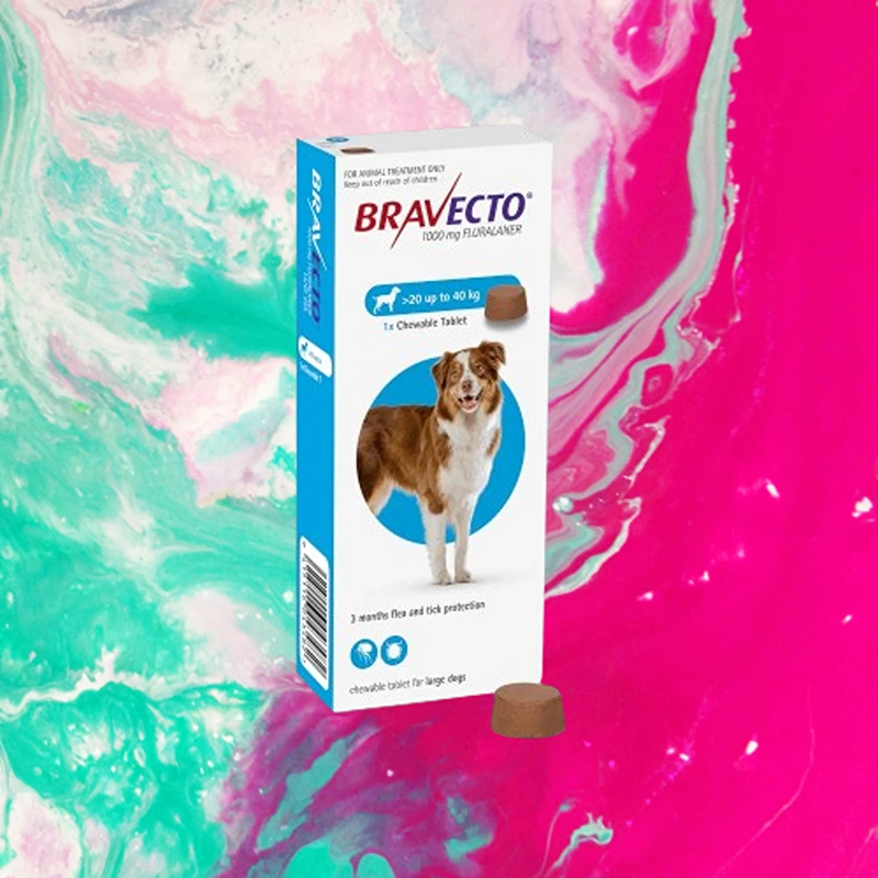 Bravecto Anti Tick, Flea and Mange Chewable for Dogs. – kahayupan PH