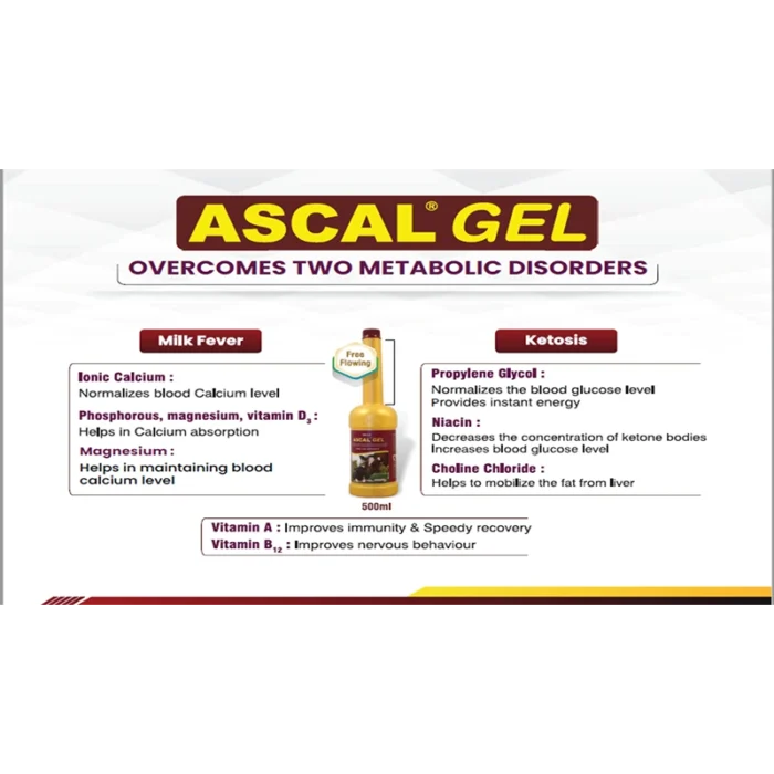 ASCAL GEL 2 1