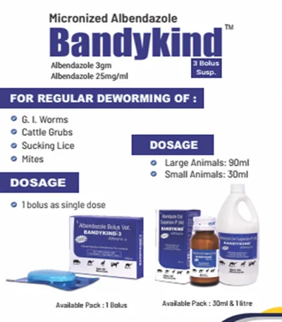 BANDYKIND