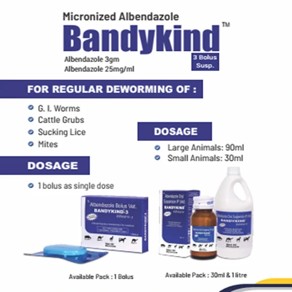 BANDYKIND