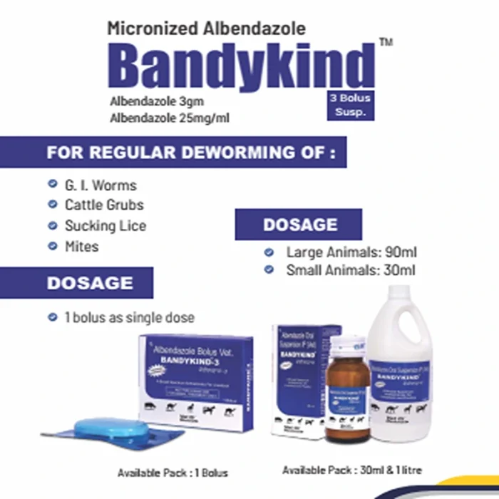 BANDYKIND