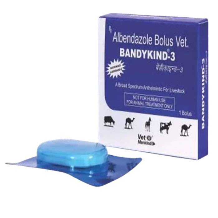 BANDYKIND