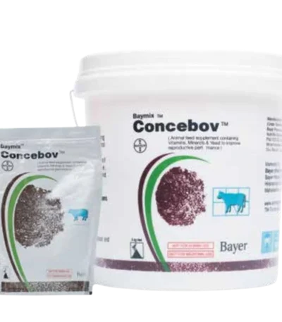 CONCEBOV