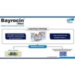 Bayrocin 1Shot INJECTION - Image 8
