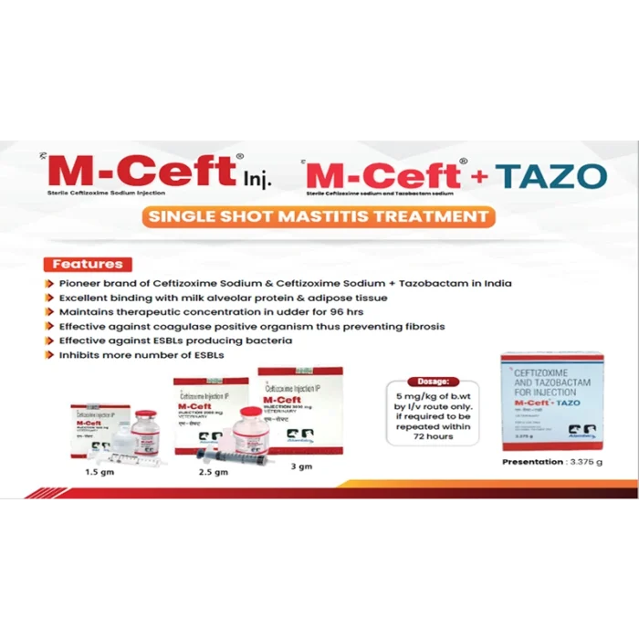 M CEFT 2