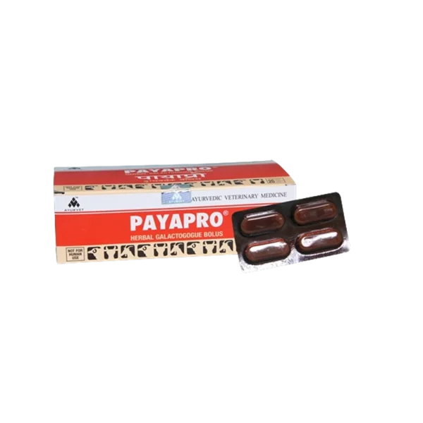 PAYAPRO