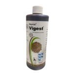 VIGEST